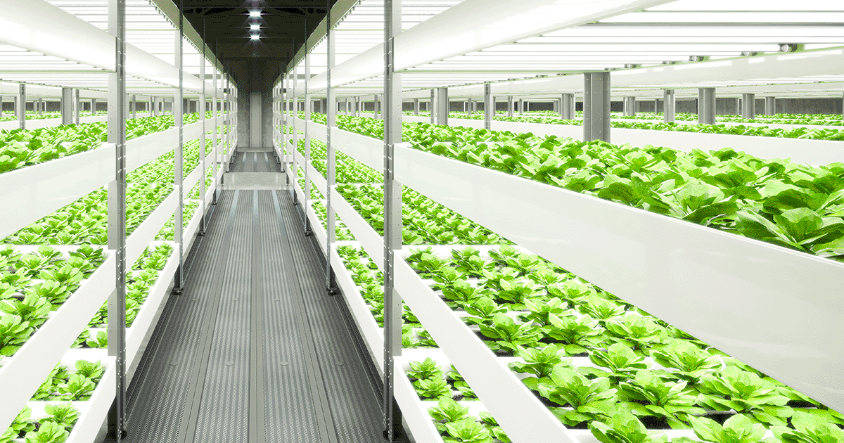 椿本チエイン<6371>、アグリ事業拡大に向け木田屋商店のアグリ事業を買収